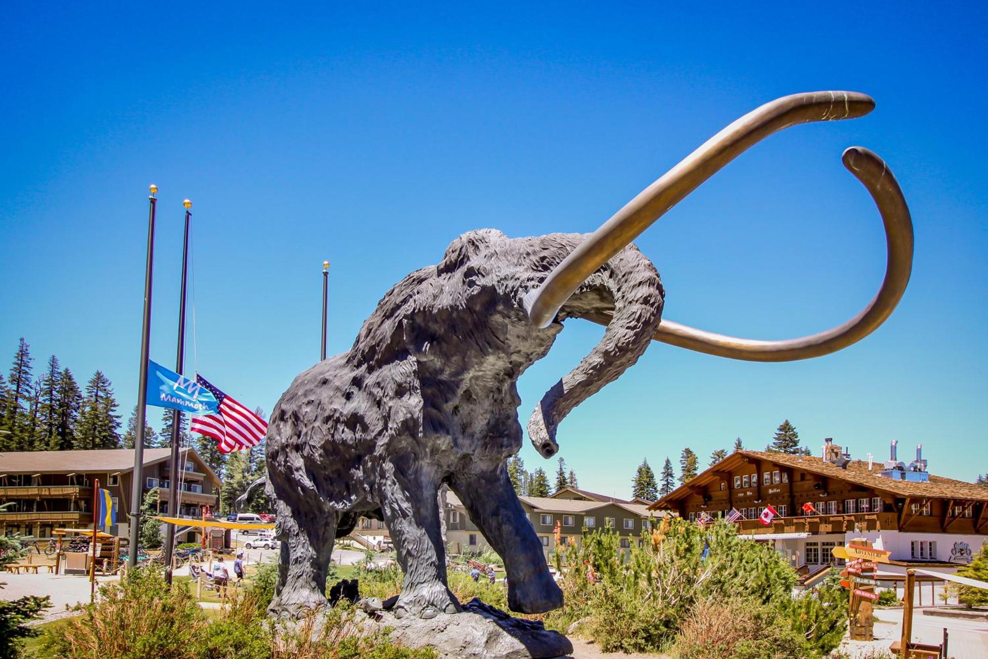 Sierra Manor Escape Villa Mammoth Lakes Rum bild